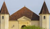 Château Laffitte Teston : Producteurs des AOP Madiran, Pacherenc du Vic-Bilh sec et moelleux, IGP Côtes de Gascogne.