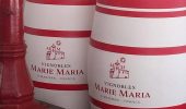Toute l'année nous vous attendons à la boutique du Château pour découvrir les vins des Vignobles Marie Maria et participer à des dégustations commentées ou bien pour visiter les chais.