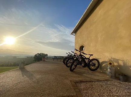 Velo elec pouey